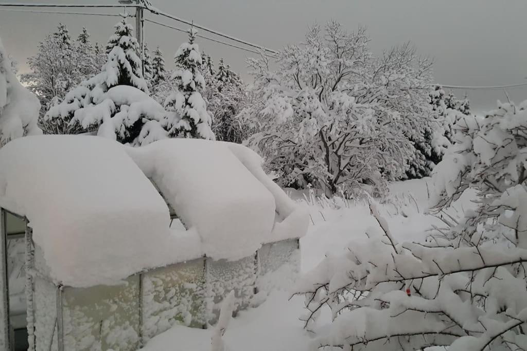 Spacious House In Tromso, Perfect For Groups Of Families, Tourists Or Workers Екстер'єр фото
